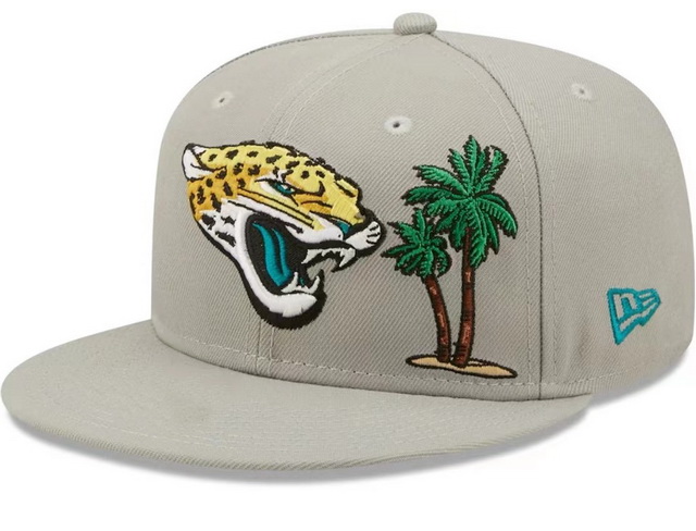 NFL hats 080